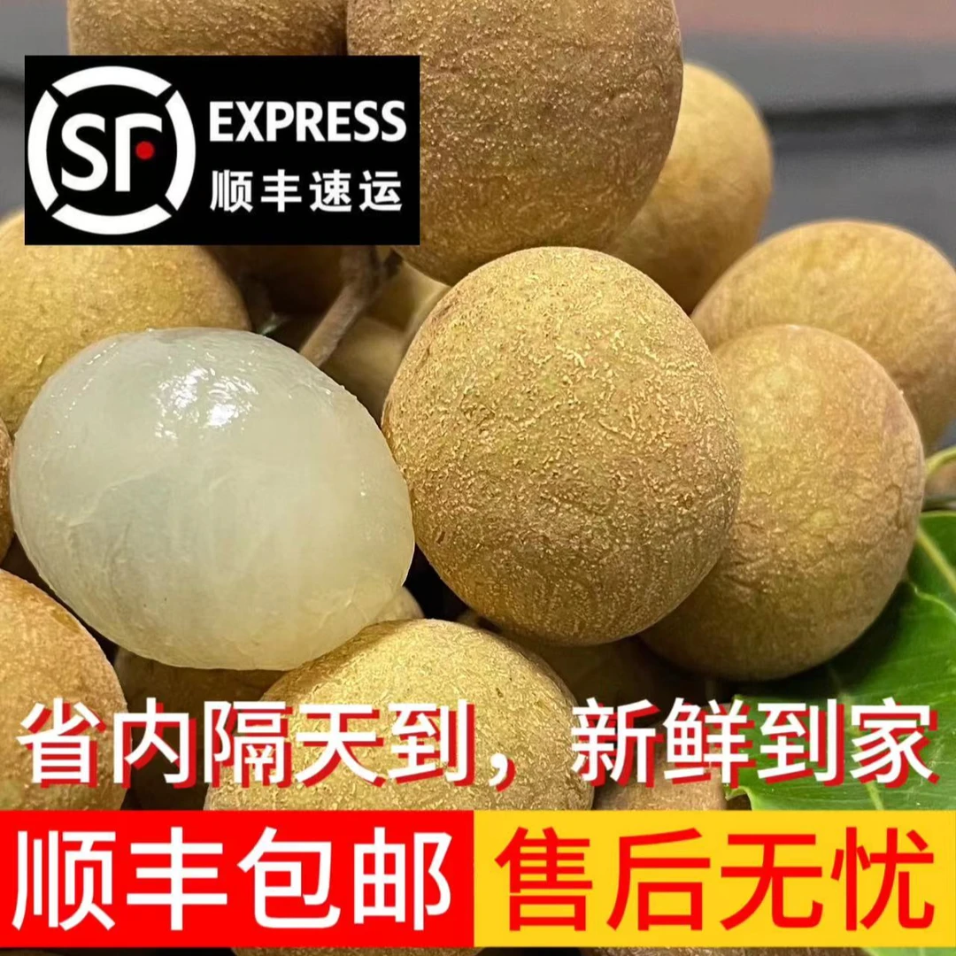 【储良破价】高州储良龙眼新鲜产地直发很甜很好吃（顺丰包邮）
