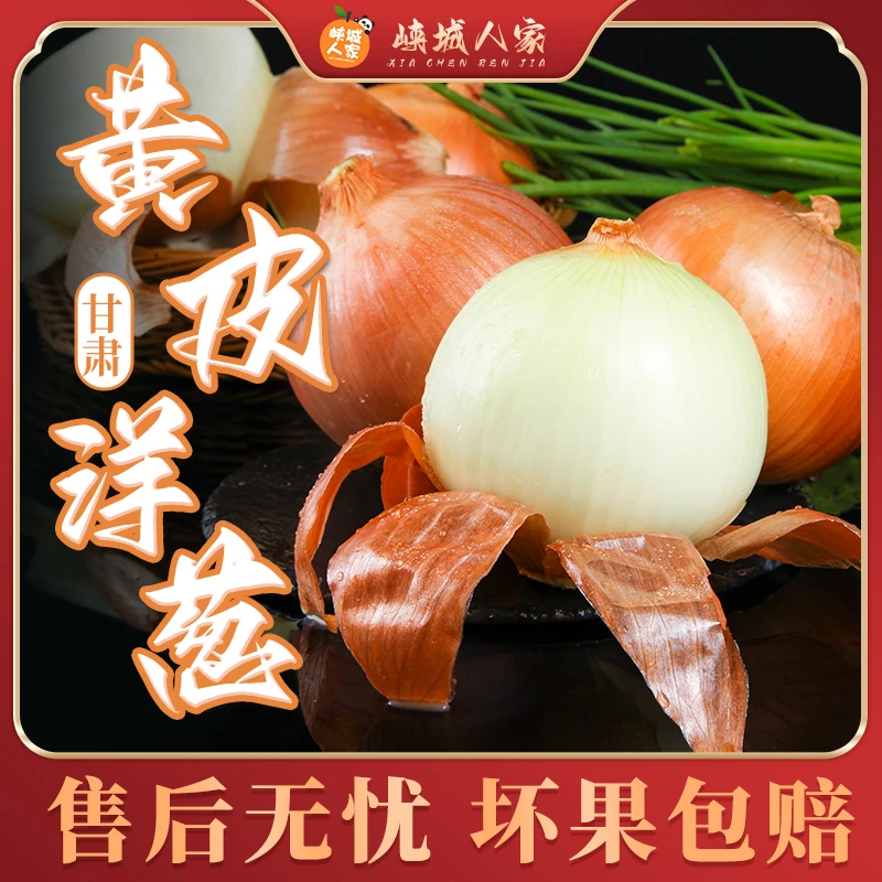 【峡城人家】甘肃黄皮洋葱4.5斤个大饱满汁水充沛新鲜
