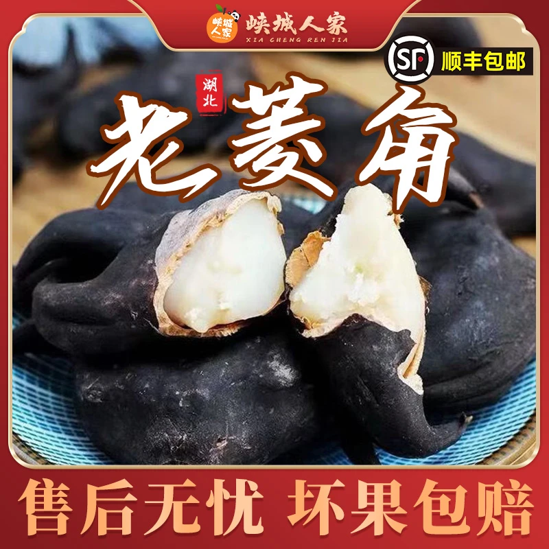 【峡城人家】湖北老菱角3斤约50-70个