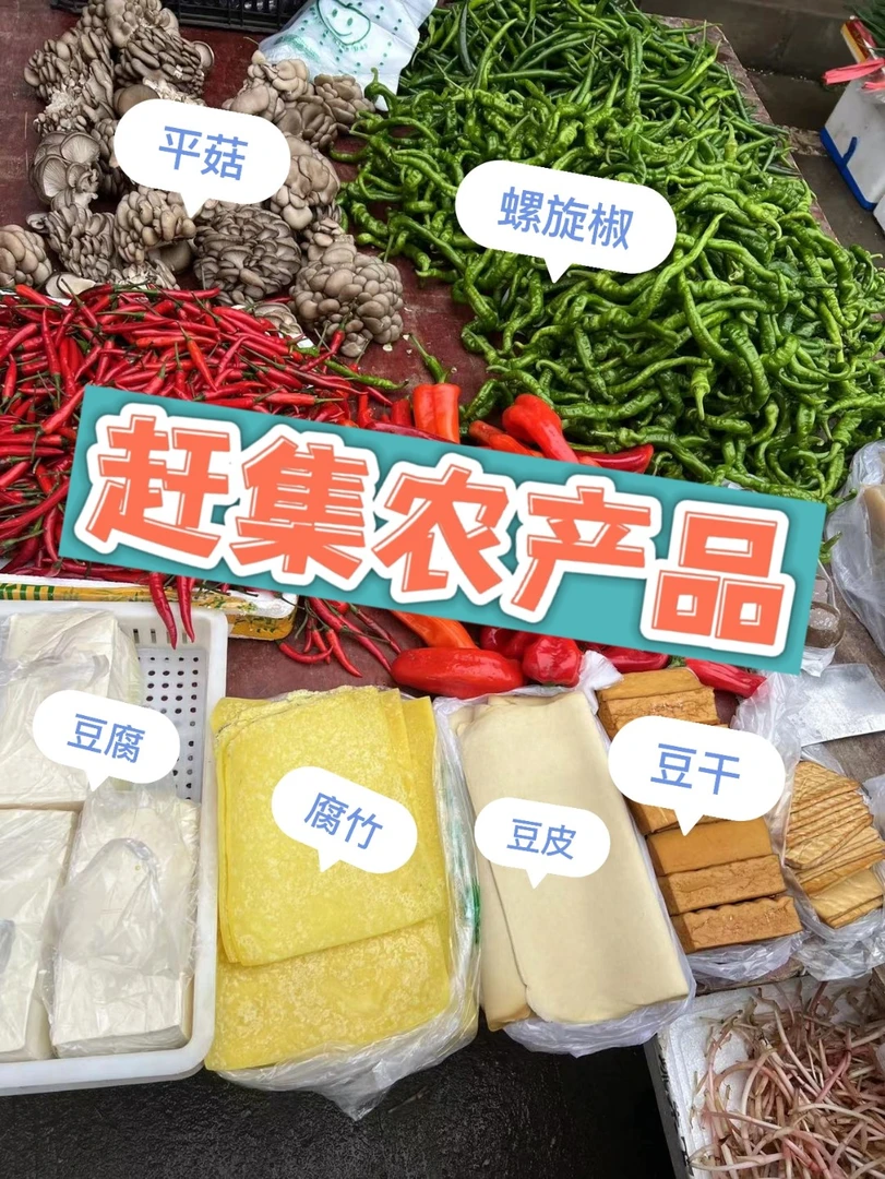 湖北高山季节蔬菜改价链接