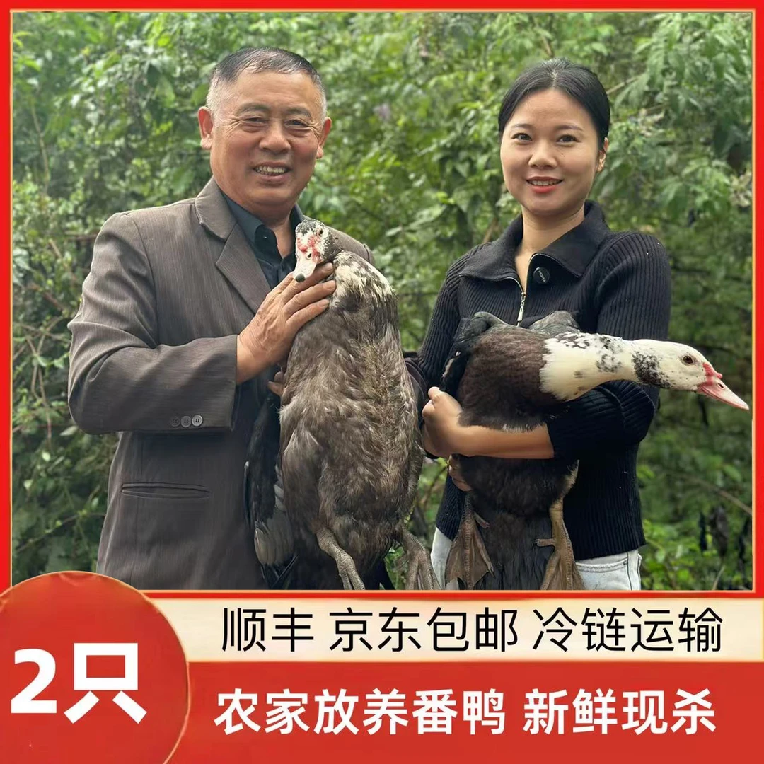 【竹林H】 山林放养番鸭 顺丰/京东包邮 净膛 2只净重9-10斤