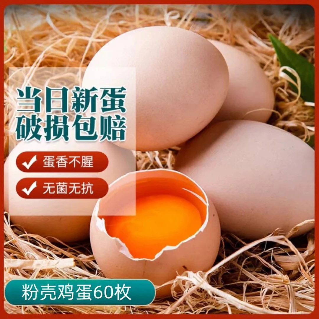 【小文农场】顺丰京东包邮 农家放养粉壳土鸡蛋60枚/2400g破损包赔