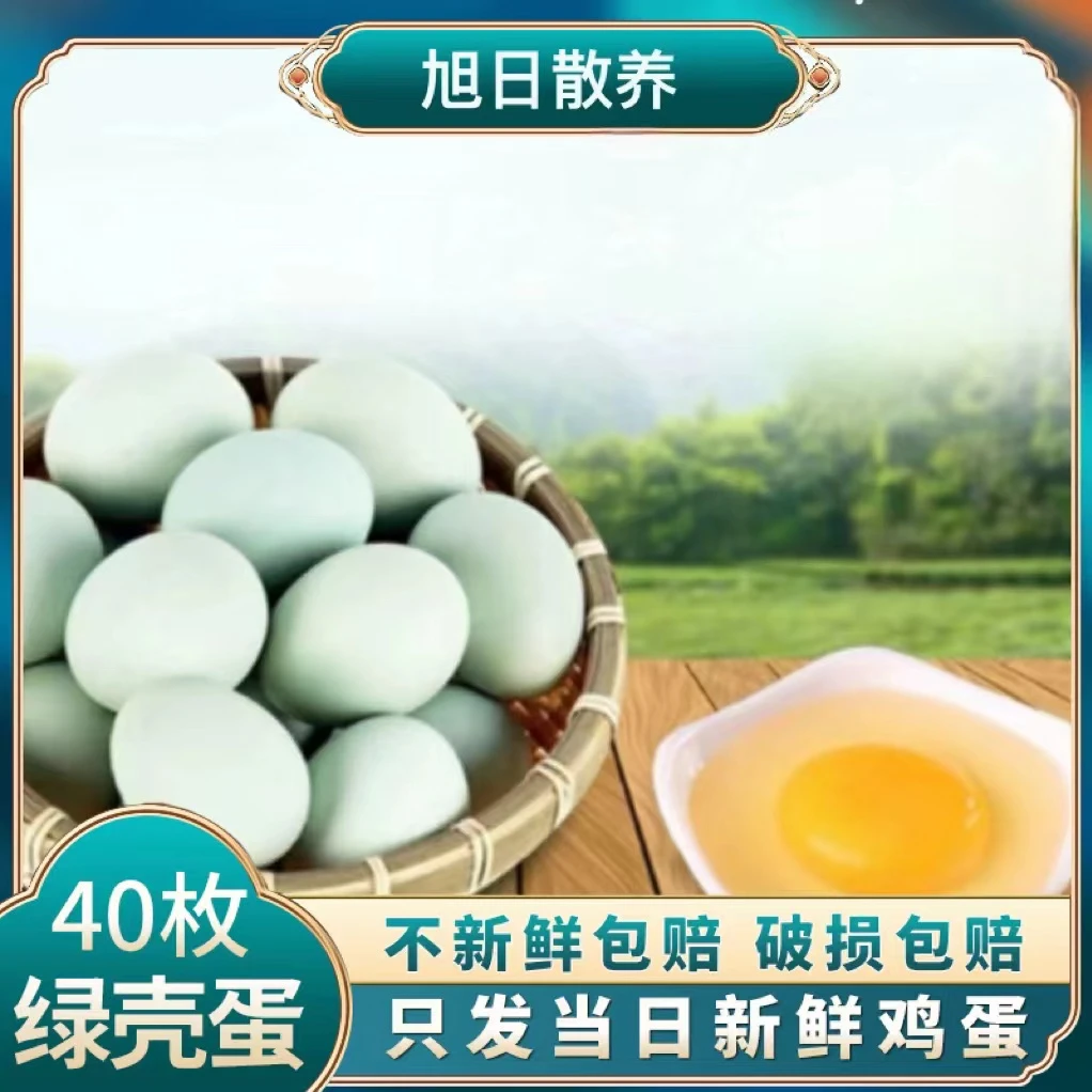 【旭日散养】农家山林放养绿壳乌鸡蛋40枚/1600g