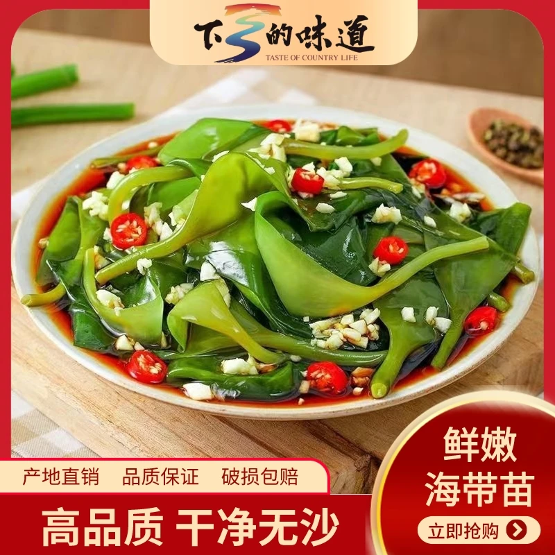 盐渍新鲜海带苗500g袋新鲜裙带菜海鲜脆爽凉拌海带芽火锅必备食材