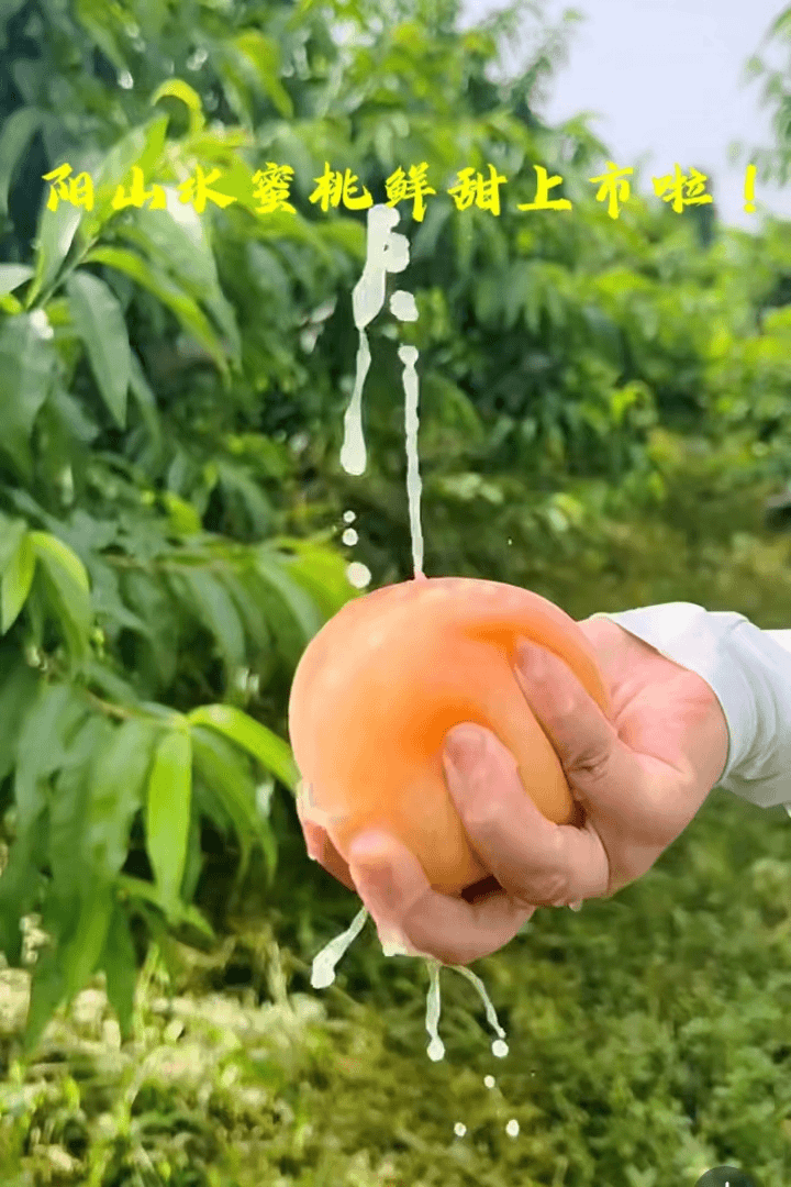 正宗无锡阳山水蜜桃礼盒装3两8个一箱