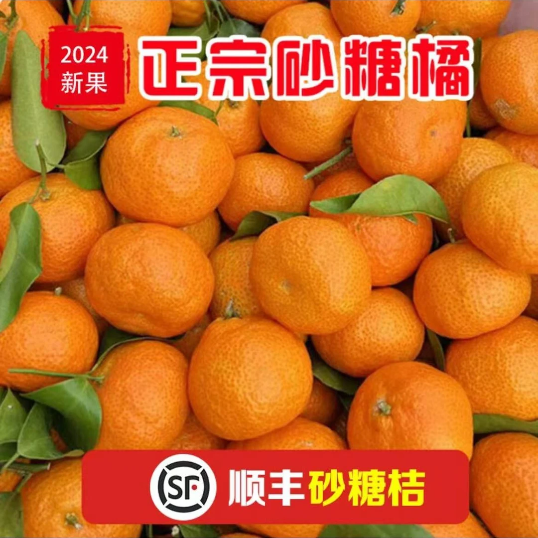 【嘉兴二叔甄选】广西梧州正宗新鲜现摘砂糖橘应季水果新鲜现摘