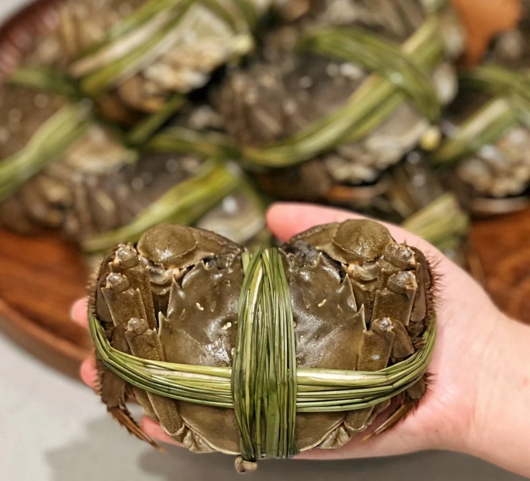 私人订制专属链接 想要什么给主播说