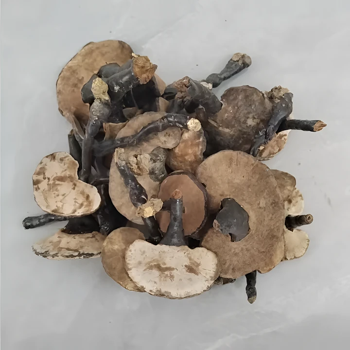 野生深山中小朵黑木菌~可煮水煲汤炖汤~中秋福利款