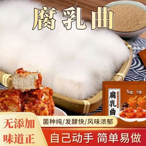 腐乳曲粉做豆腐乳腐乳长毛豆腐曲毛霉菌粉家用霉豆豉腐乳发酵菌