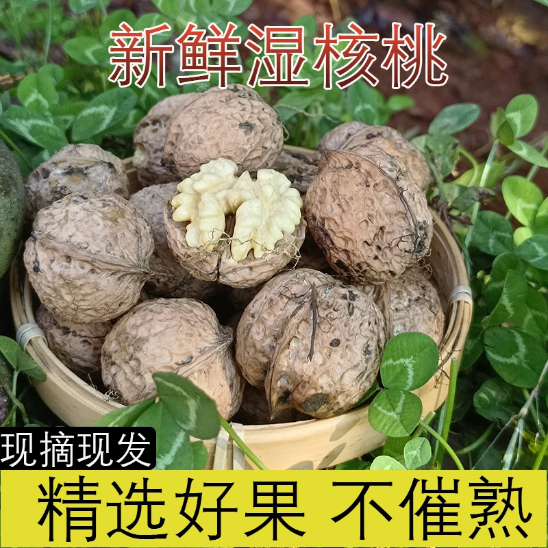 （云南永平）高原青皮湿核桃2025年新货