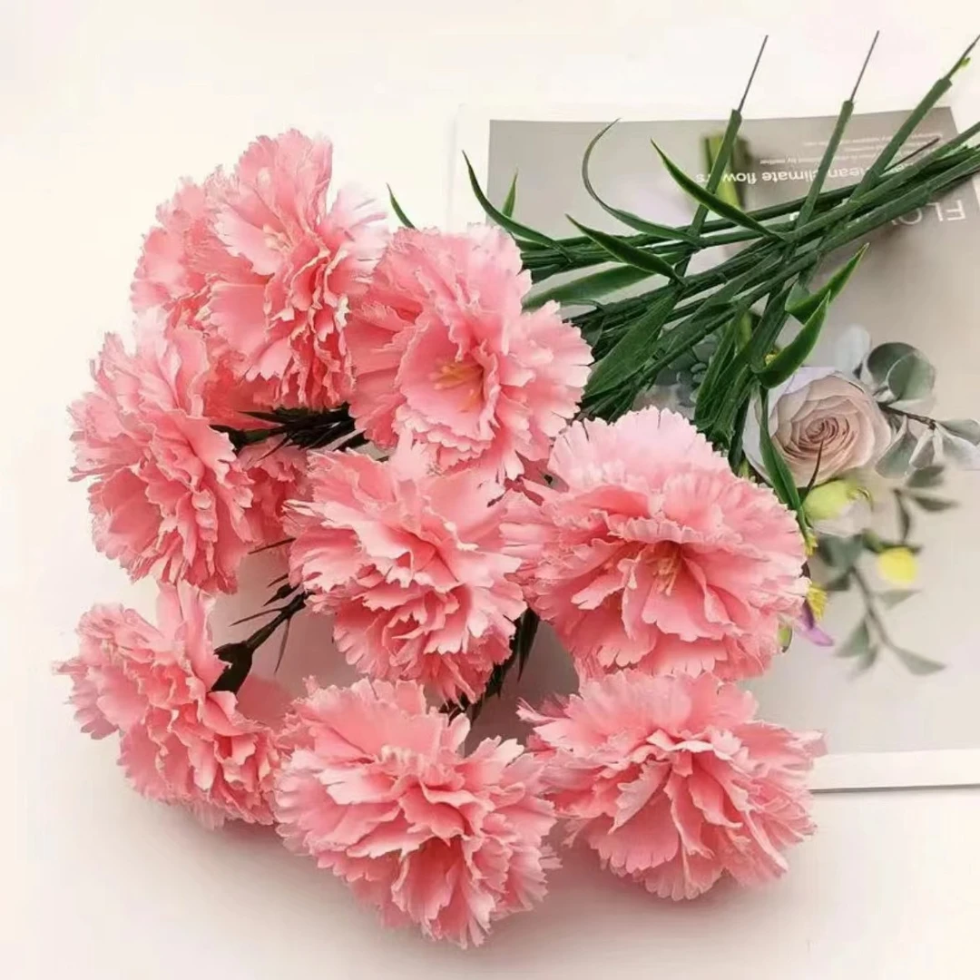 【康乃馨20支】 全场任意两单升级顺丰偏远EMS空运 云南鲜花直发