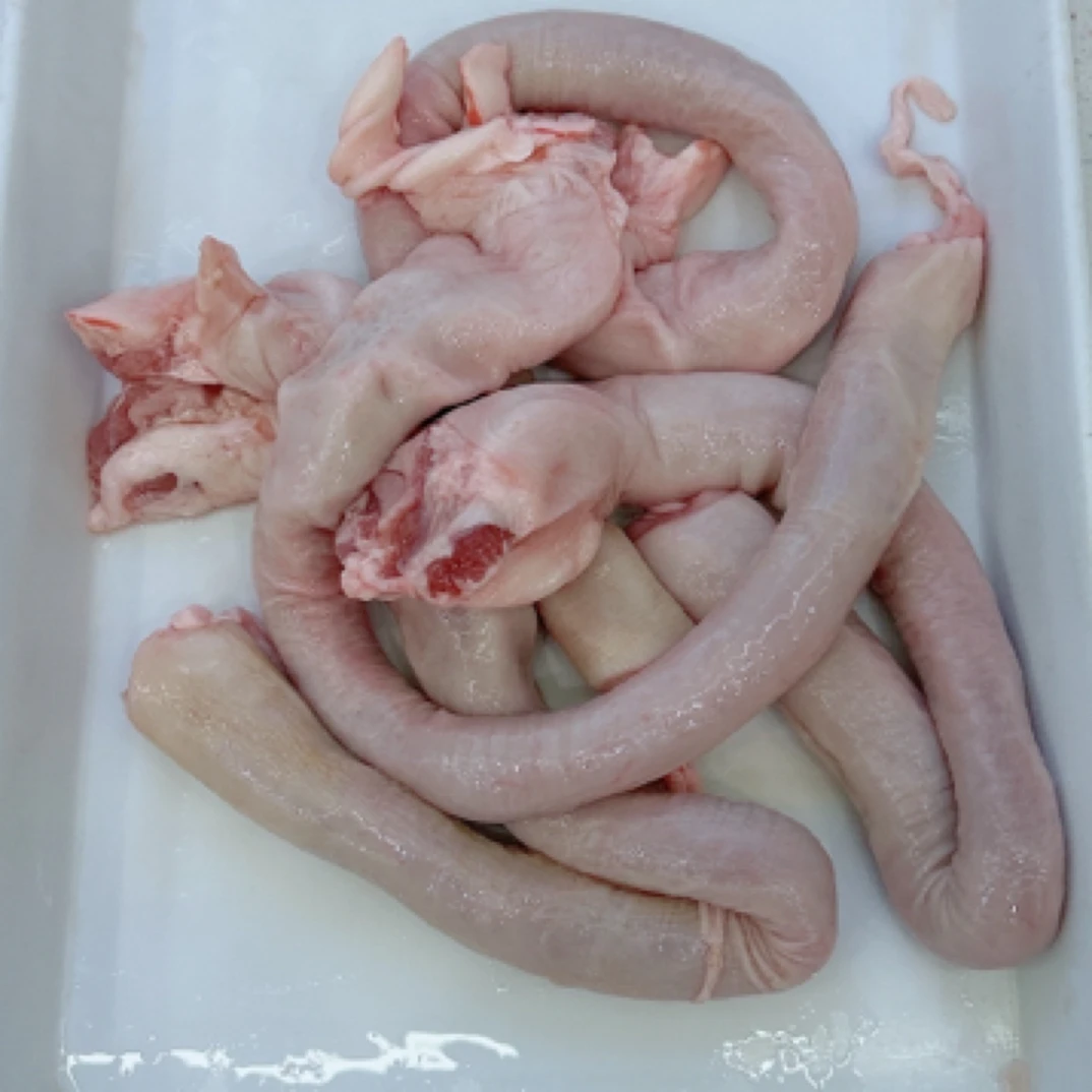 猪肚头.一单五斤