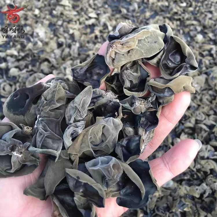 【小木耳】大山特产单季干货