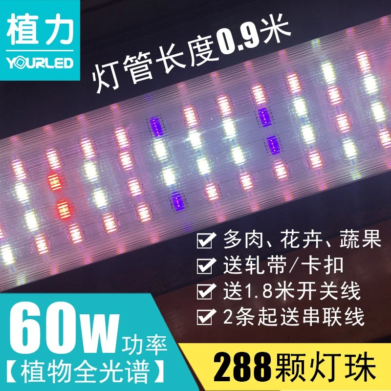 植力【四排灯珠】全光谱led植物灯多肉补光上色花卉蔬菜生长家用