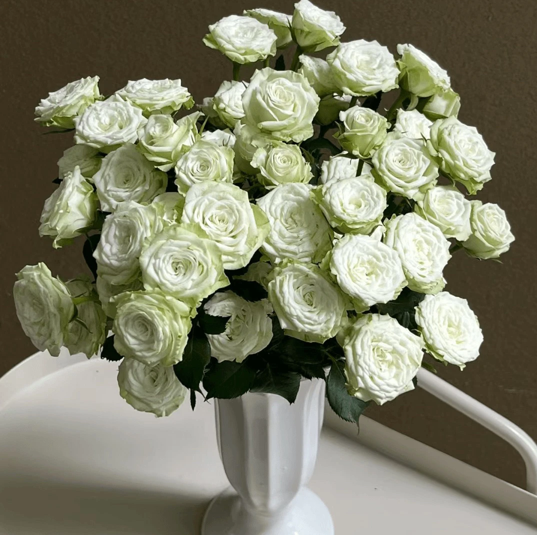 【10枝多头繁星】全场任意两单顺丰冷链包邮，一单需补邮费！