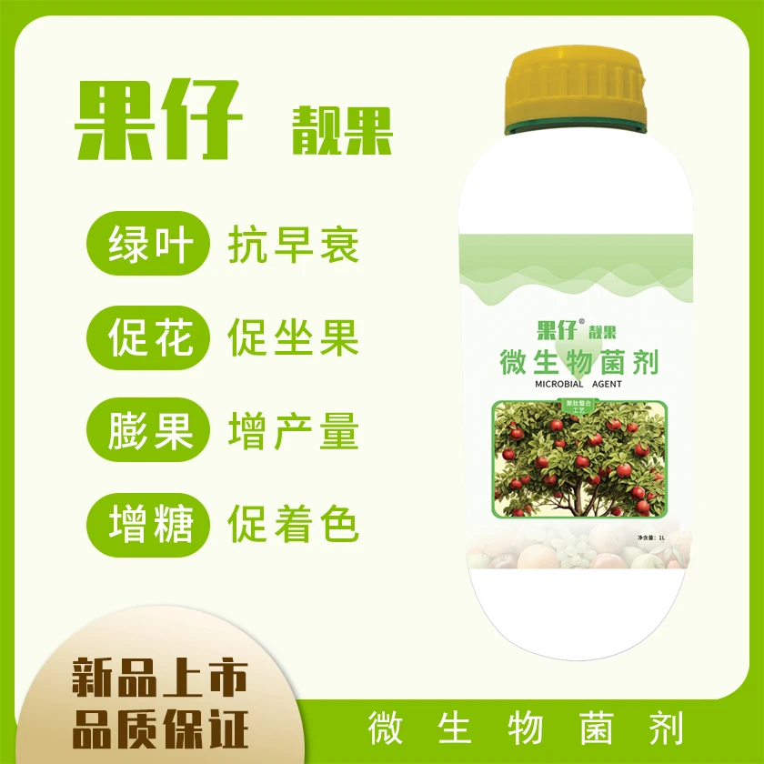 果仔靓果微生物菌剂聚肽螯合工艺促花膨果增糖促早衰绿叶原料优质