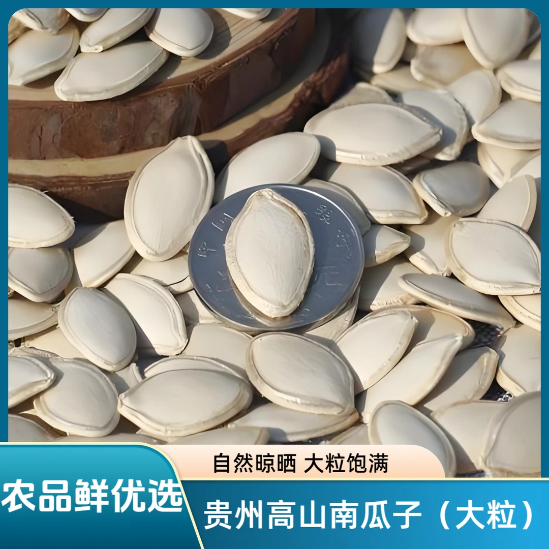 【农品鲜优选】南瓜子贵州农户露天种植南瓜自然晾晒 香脆 新鲜健康