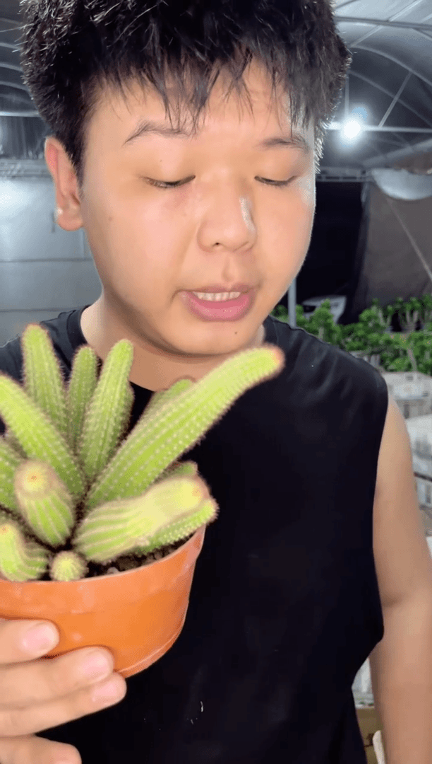 【闪购商品】【有根】多头垂钓黄金妞