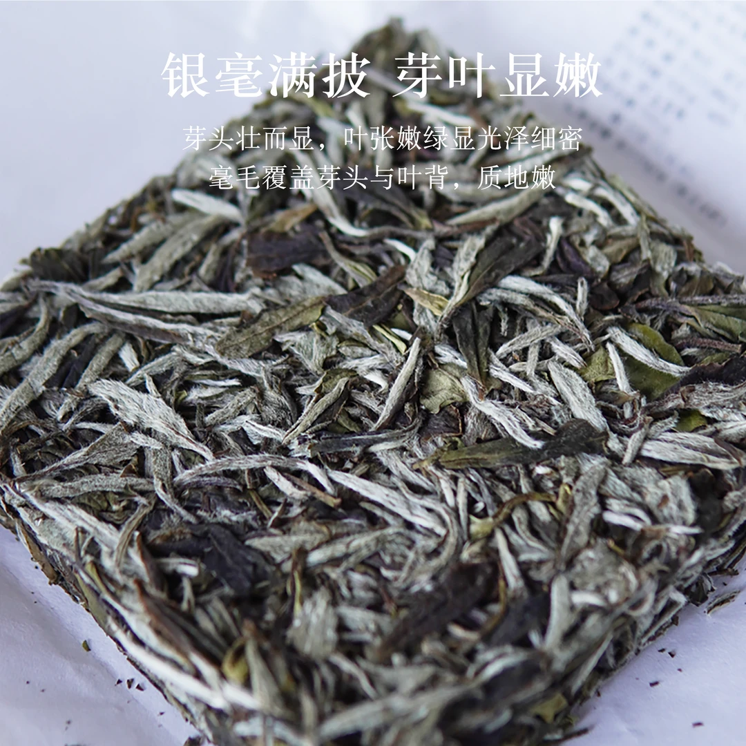 致然茗白21年傲雪青松福鼎白茶白牡丹正宗花香品牌特级轻压茶叶