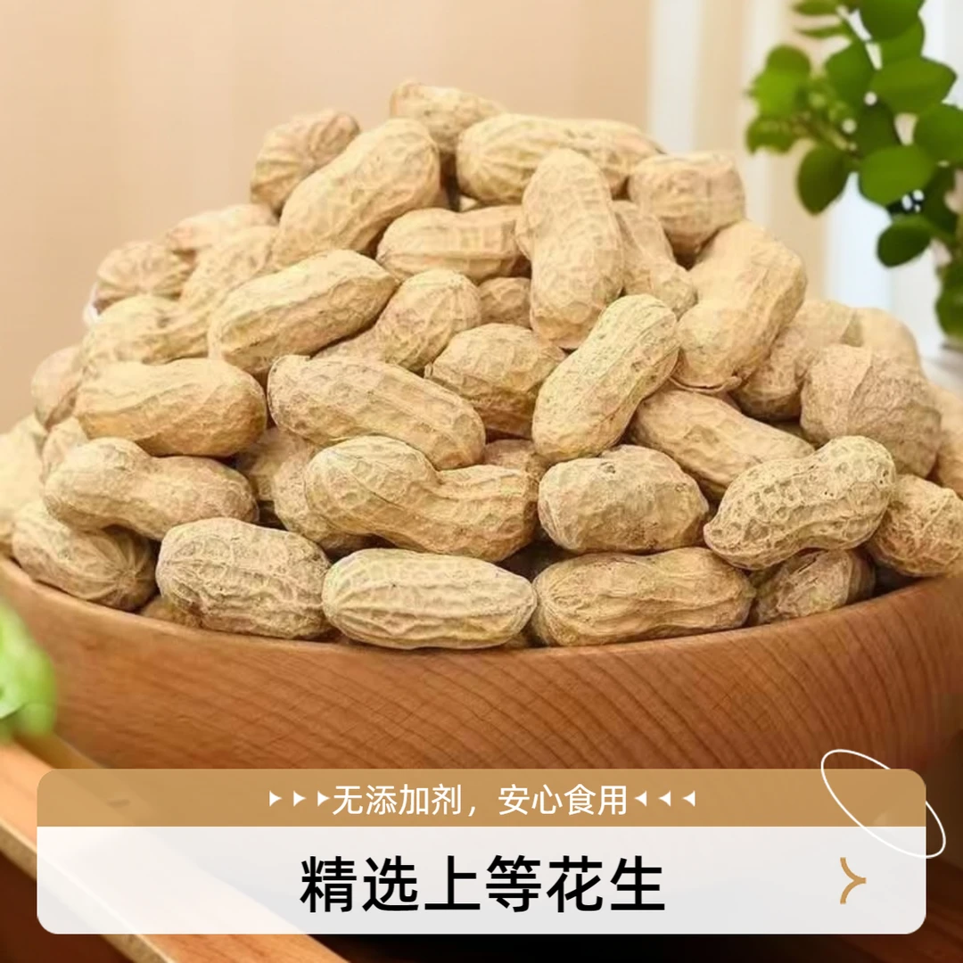 干花生山东大花生2024年新鲜农家晒干带壳花生粉皮大粒花生