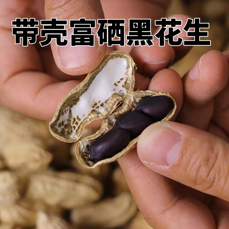 精选富硒黑皮花生米新货带壳花生甘甜养胃生吃新鲜山东生米现货