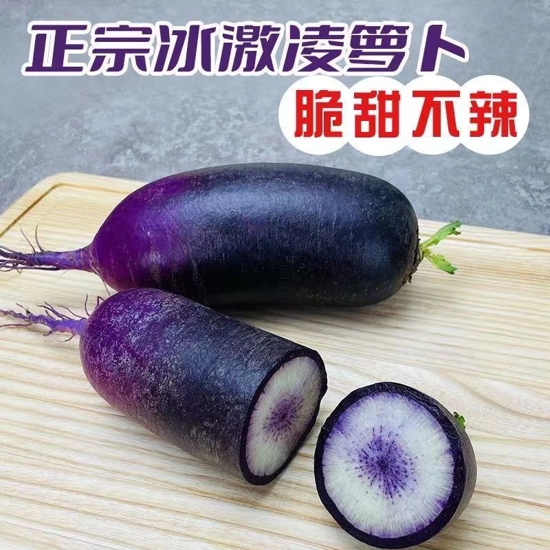 潍坊冰激凌萝卜脆甜冰糖心紫皮冰淇淋水果萝卜鲜嫩脆甜爽口直发