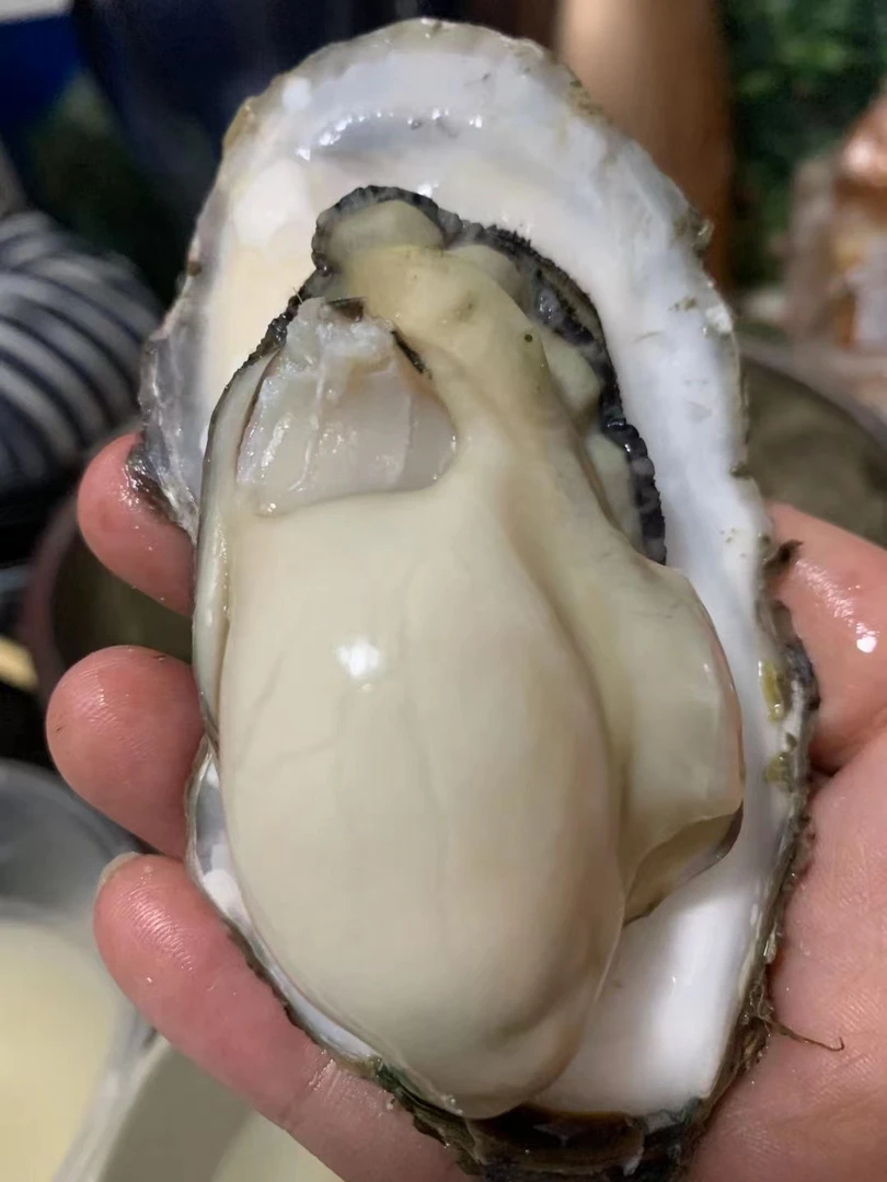 飘尼家乡山东生蚝（5斤10斤）