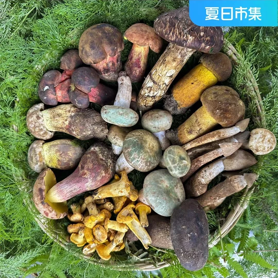 【野生菌盛宴高端组合菌】(包含顺丰空运打包费)