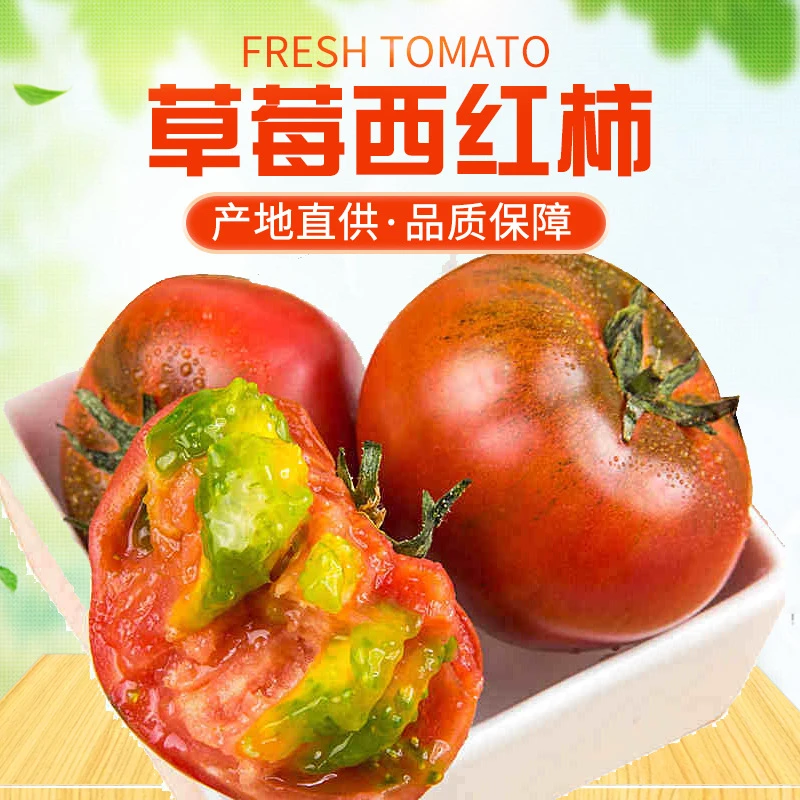 山东海阳新鲜草莓产地铁柿子酸甜爽口3斤4.5-5斤农产品番茄优选