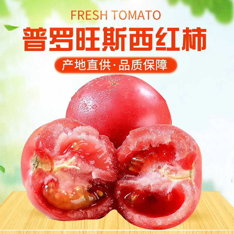 海阳普罗旺斯西红柿/4.5斤西红柿新鲜果蔬肉厚番茄水果沙瓤生鲜