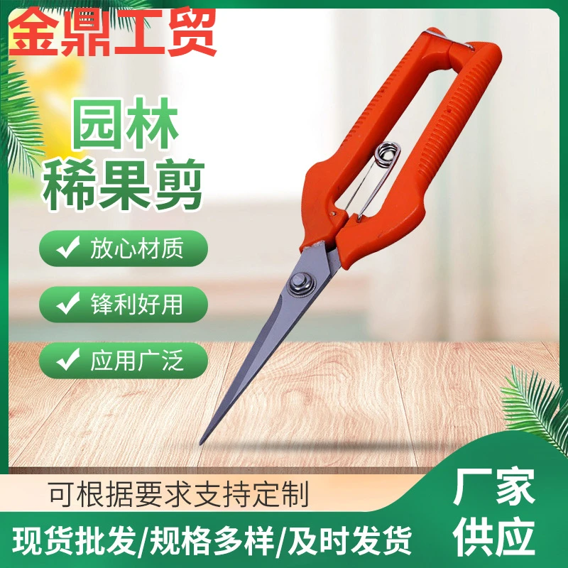 供应葡萄疏花剪果树剪采摘摘果剪疏果剪园林景观长嘴盆景修枝剪刀