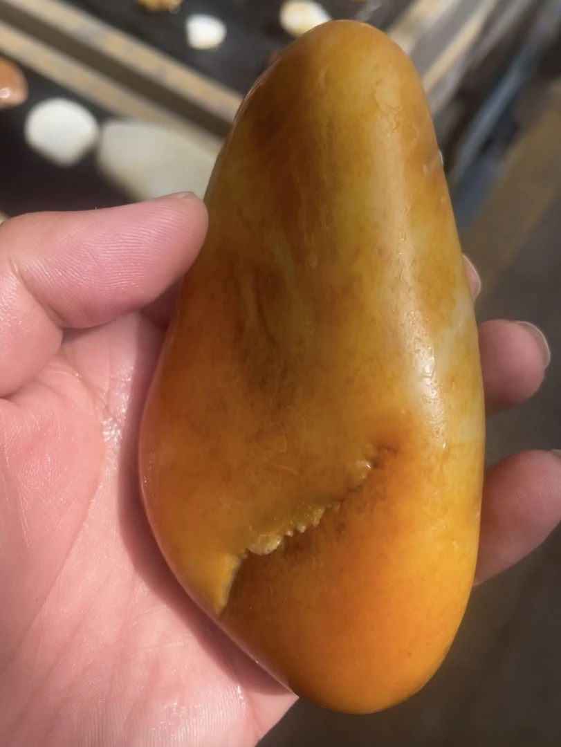 新疆和田籽料奇石盆景戈壁石直播间选购