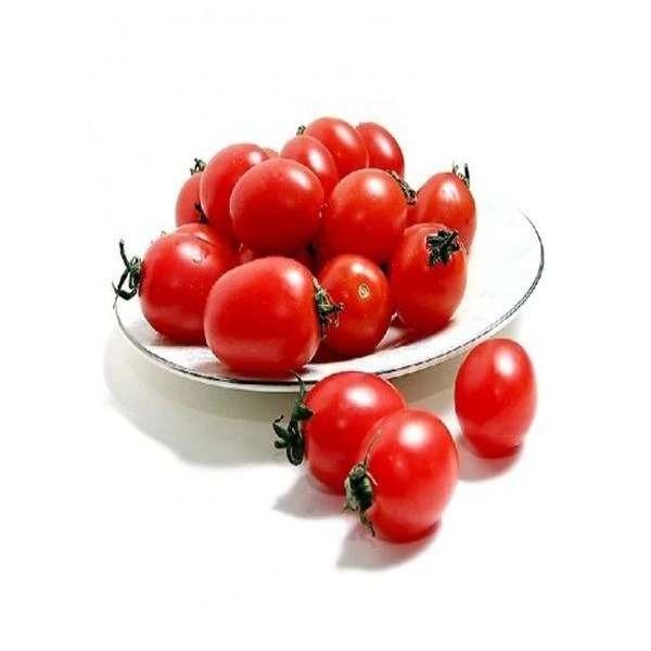 千禧番茄小番茄500g番茄同城配