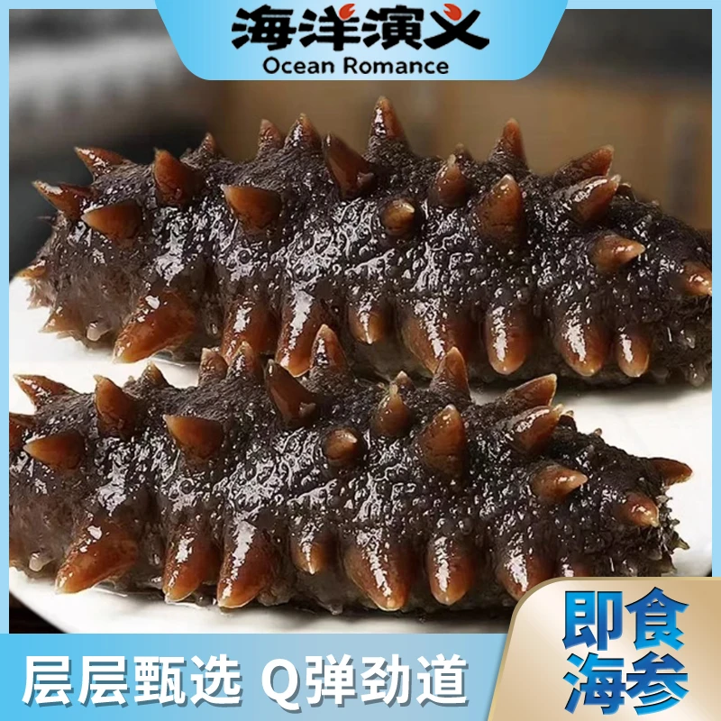【海洋演义】即食海参（13-15头）500g/包*3包 商城专享