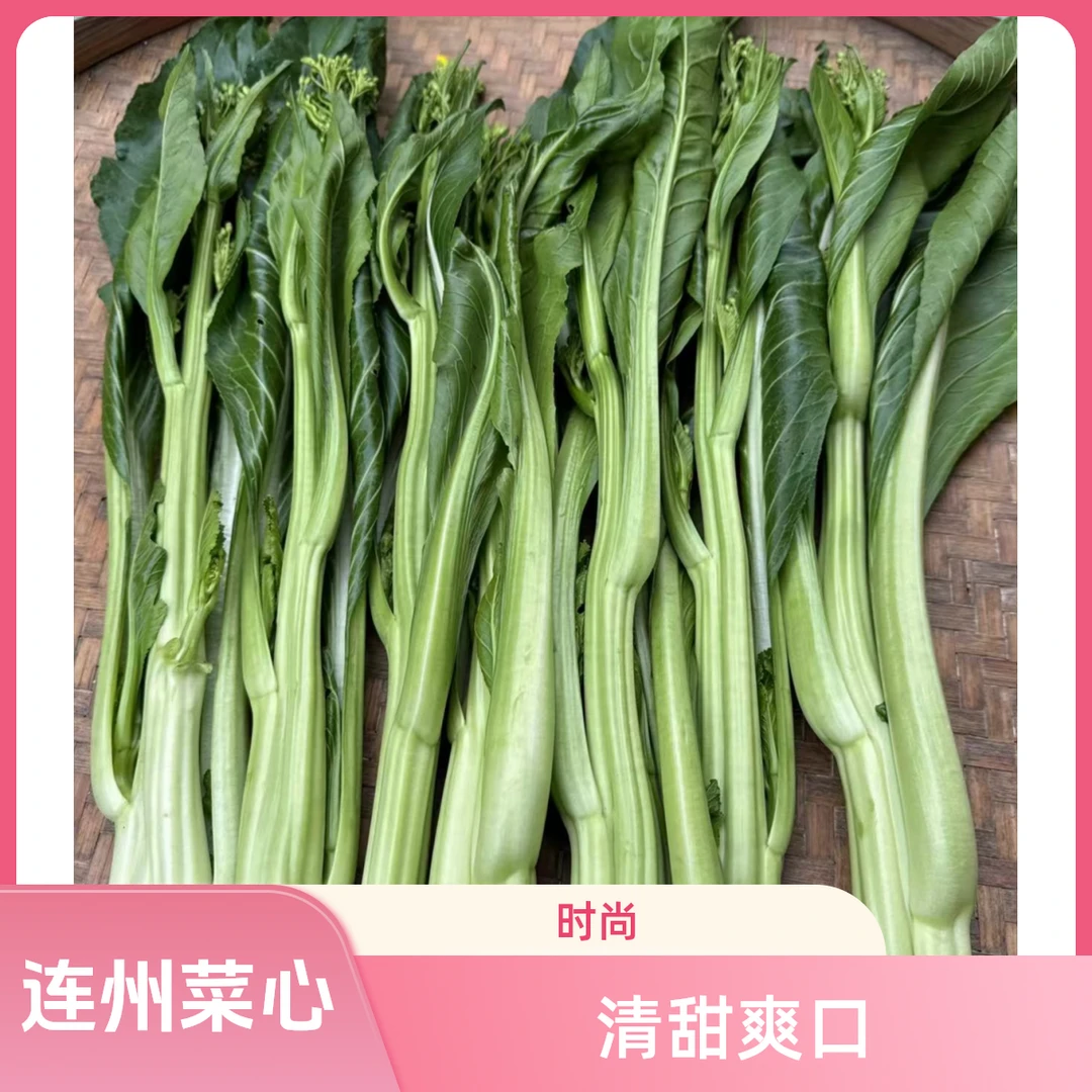 连州高山种植连州菜清甜爽口。5斤、10斤顺丰省内包邮，省外邮费自理