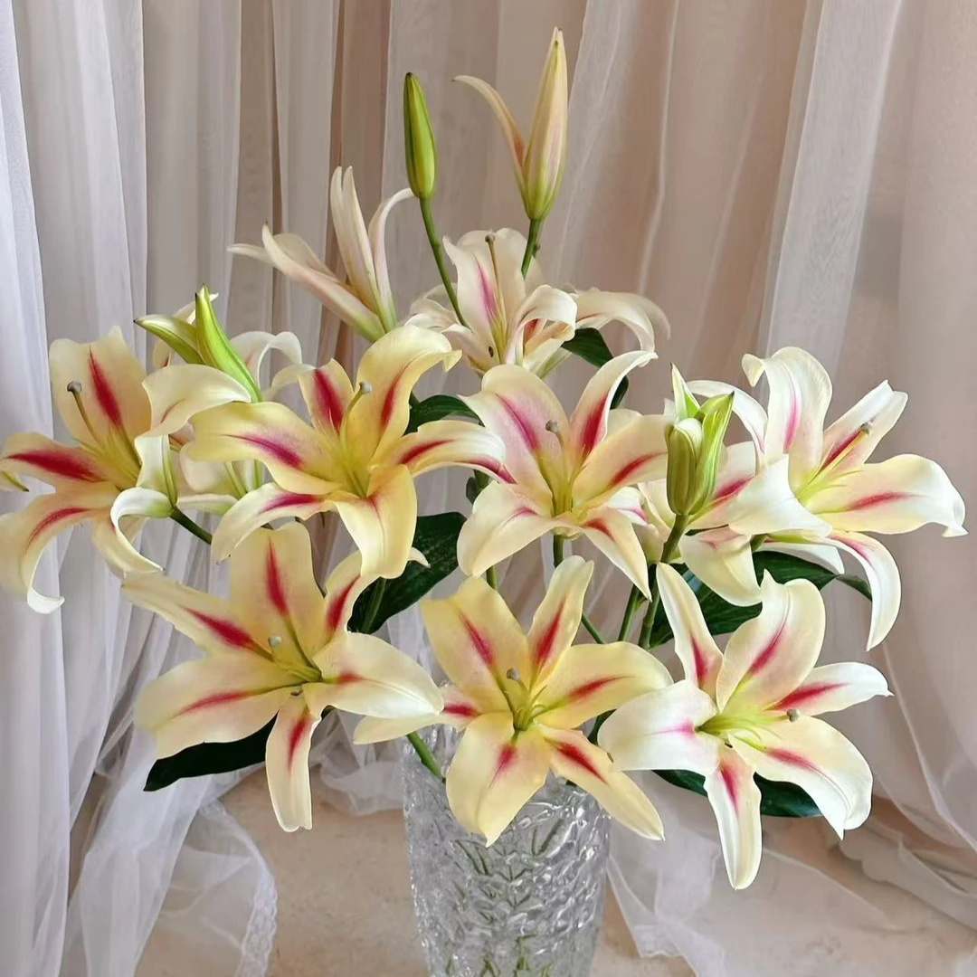 【小仙女】-百合 任意两单升级顺丰冷链/京东/德邦或邮政空运