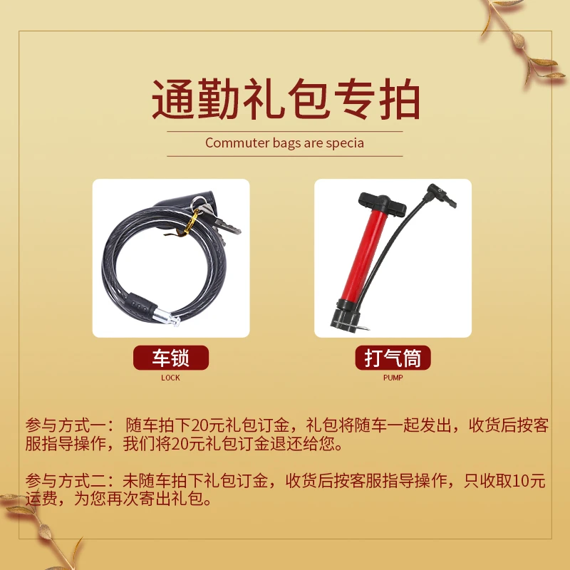 通勤二重礼包：车锁、打气筒（随车拍，不单卖）