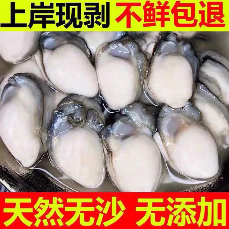(顺丰包邮)正宗福建生蚝肉全肉速冻发货