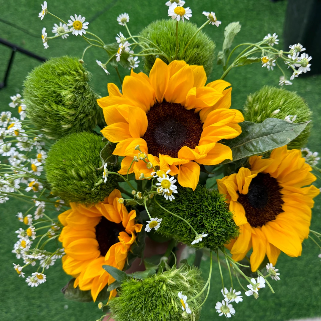 【快递次日达】3支向日葵+5支绿毛球+洋甘菊瓶插花束日常插花