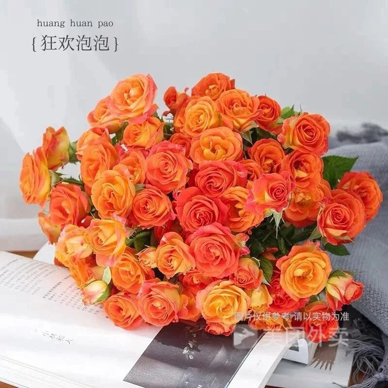 【次日达】橙色多头玫瑰花3枝/橙色芭比家居瓶插花办公室家庭养花/鲜花不含花瓶