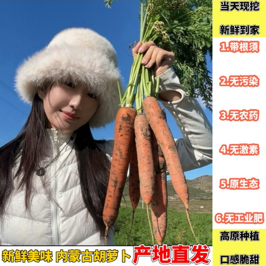 【内蒙 新鲜到家】内蒙高原1500米老品种胡萝卜2/5斤 坏果包赔