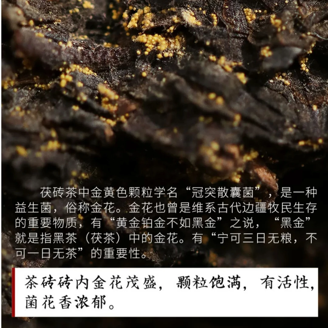 白沙溪安化茯砖茶将将辽宁舰品鉴装50g