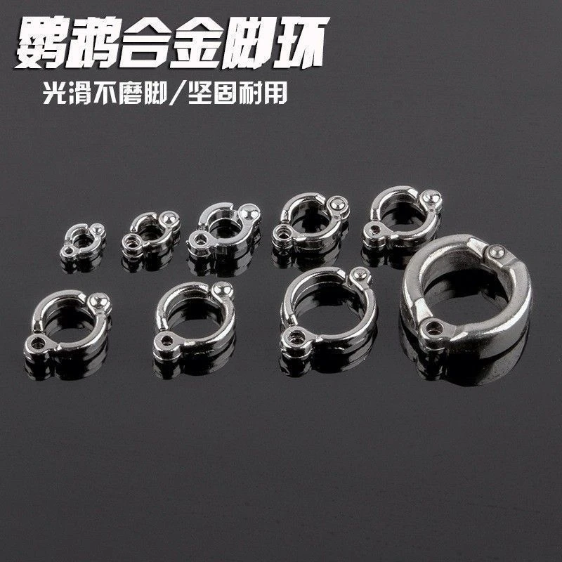 不伤鸟鹦鹉脚环牡丹鹦鹉脚链合金脚环八哥鹩哥鸟环虎皮玄凤鸟活扣