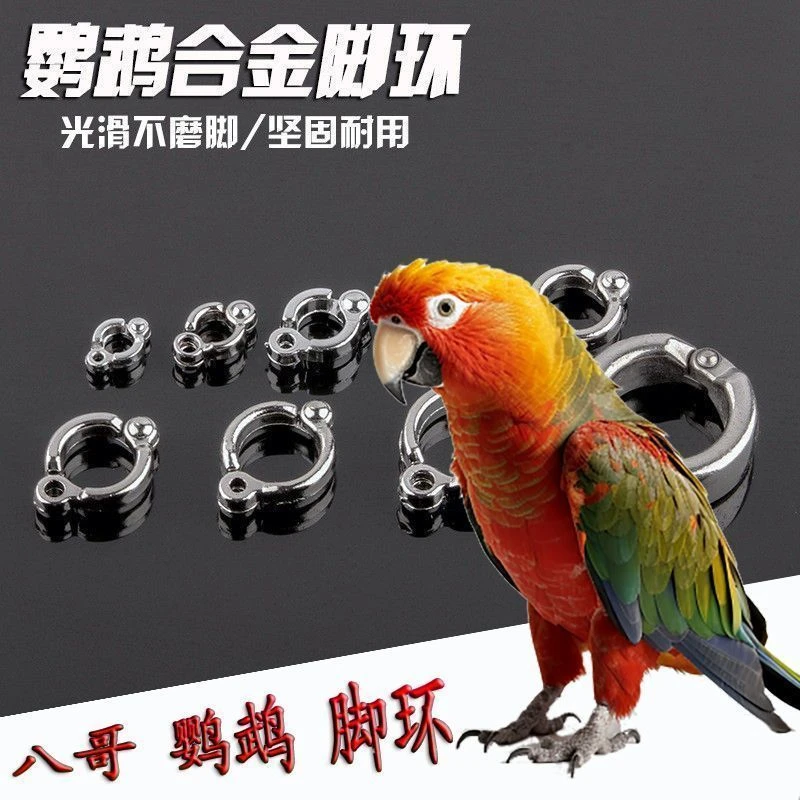 鹦鹉脚环合金开口活动不锈钢脚环鸟用超轻不伤脚站架配件用品用具