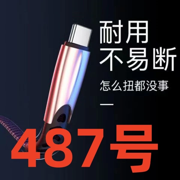 99新  9新（487号） 数据线-以直播间讲解为准