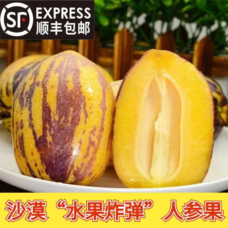 [顺丰包邮]甘肃民勤沙漠人参果，5斤/8.5斤包邮