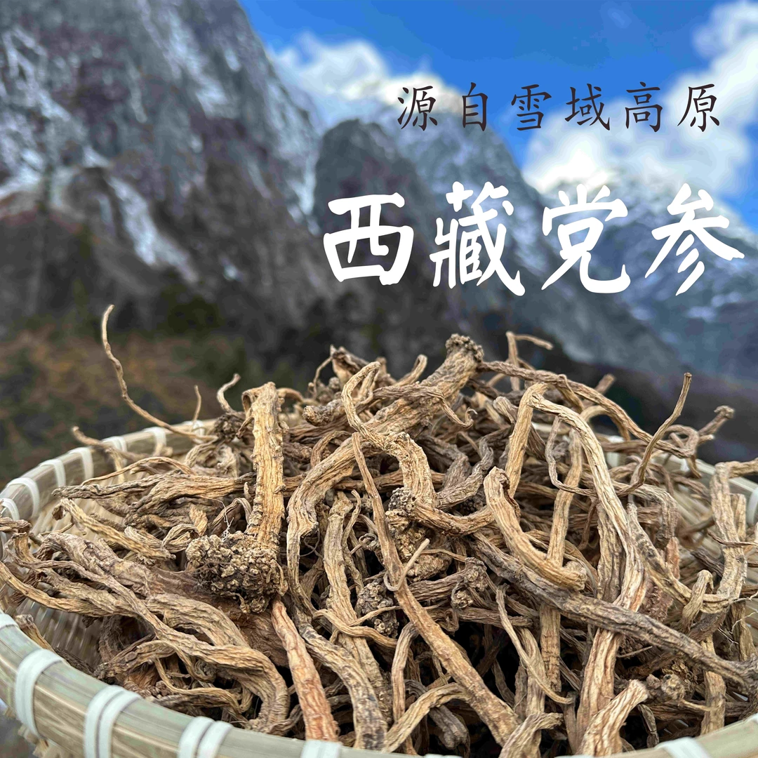 西藏高海拔党参波密原生态山货党参滋补养生炖汤煲汤冬季150g
