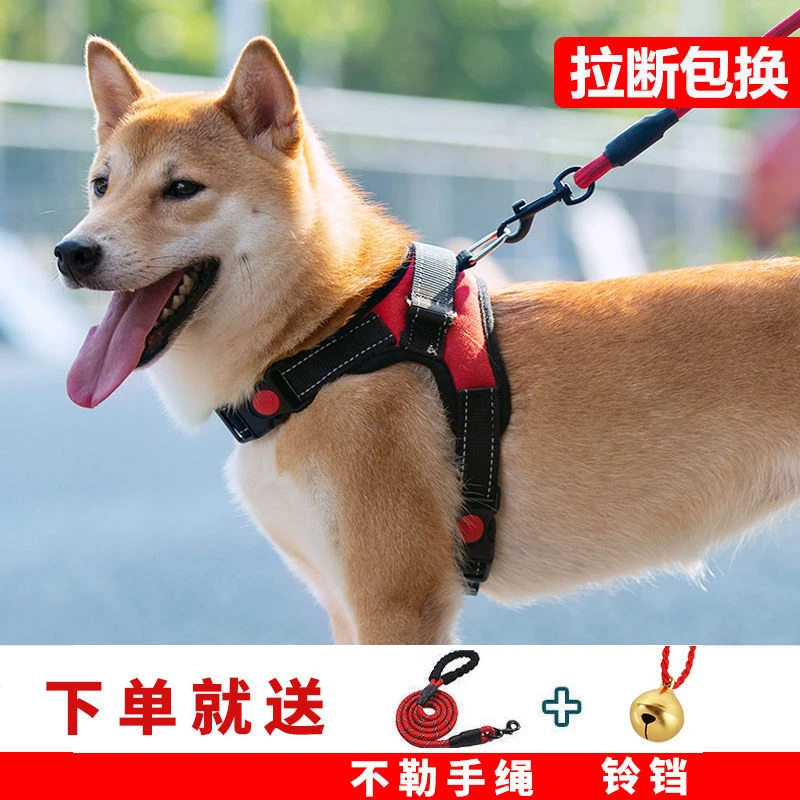 新疆包邮狗狗牵引绳大中小型犬狗链子胸背带泰迪拉布拉多柯基项圈