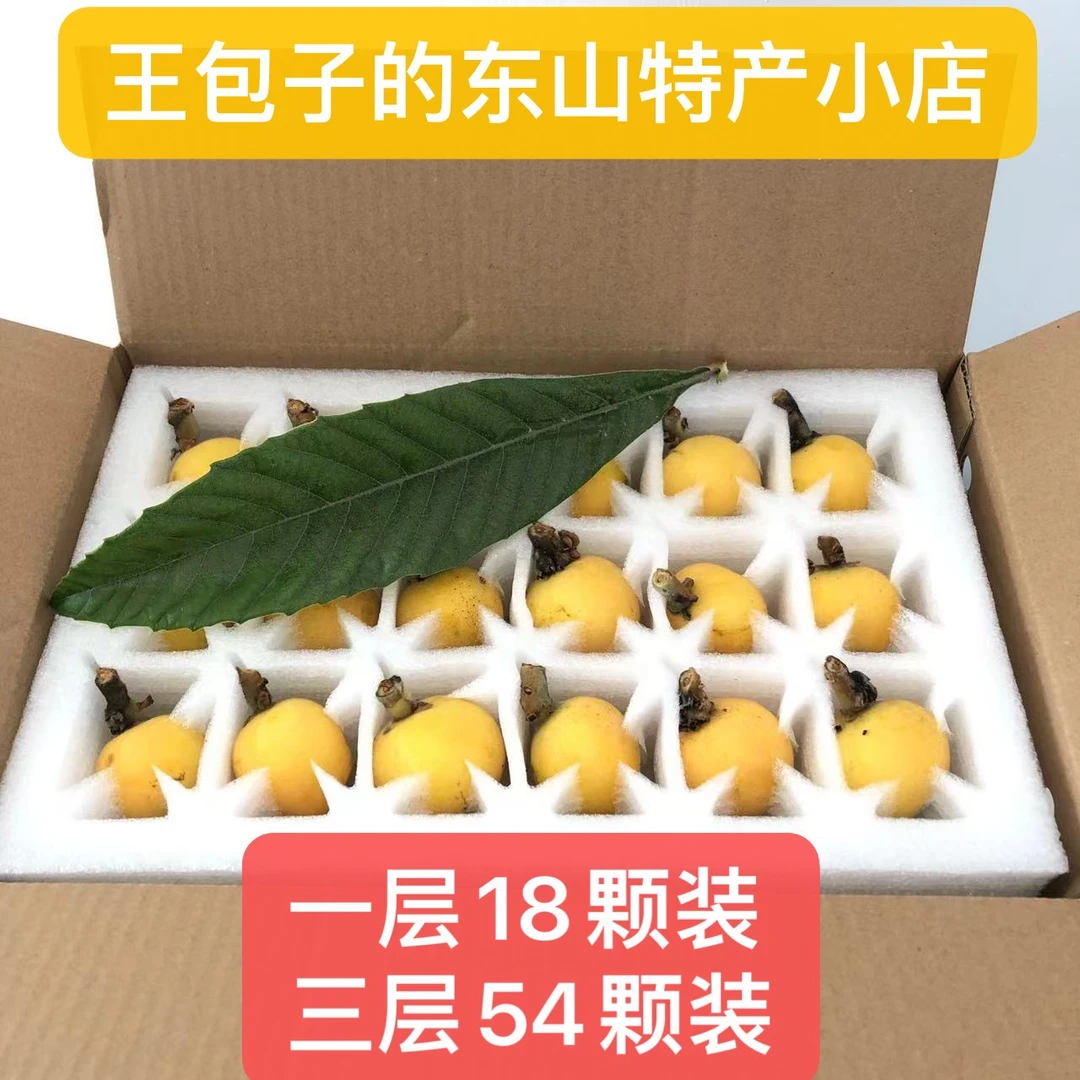 【54颗超大果】正宗东山白玉枇杷自家果园采摘