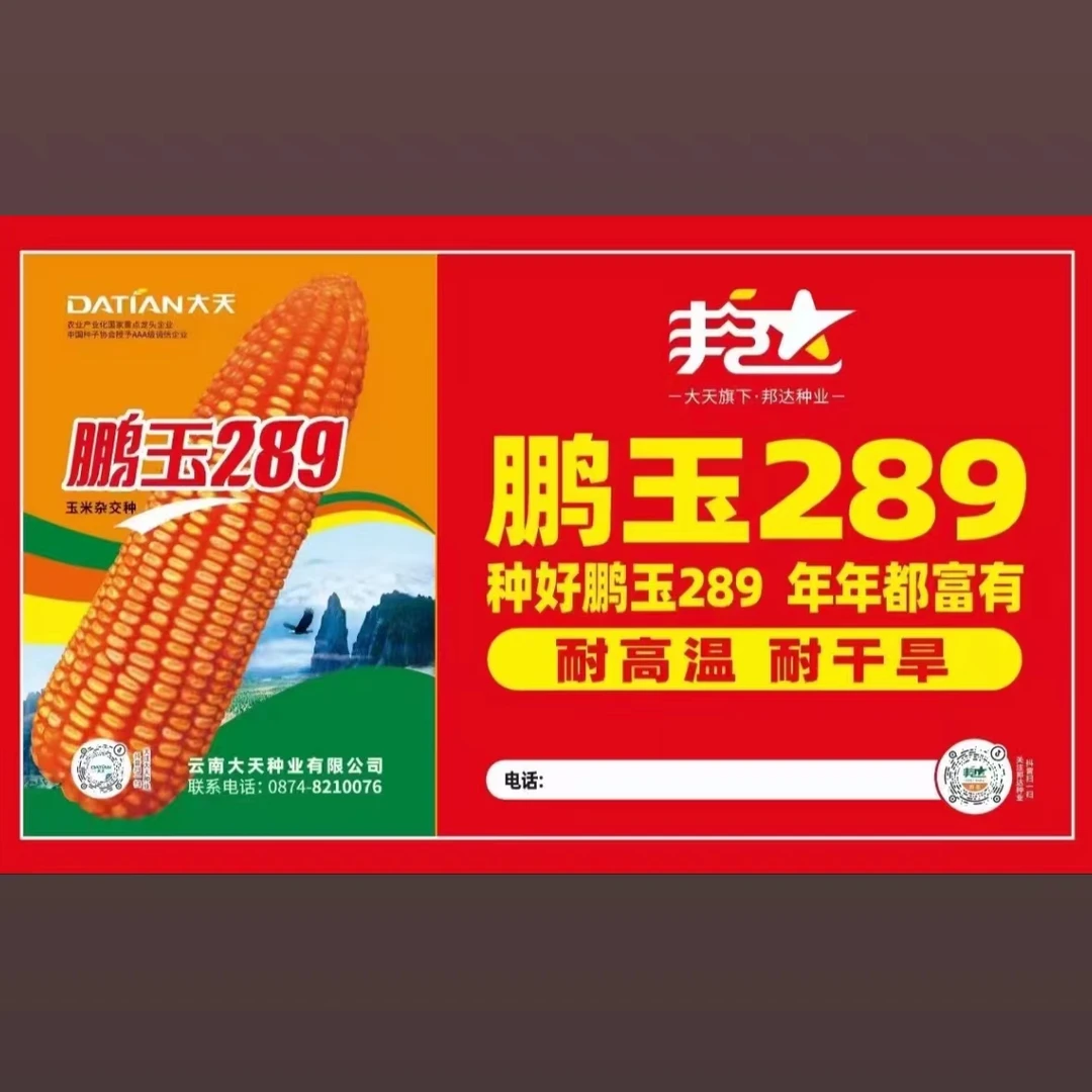 玉米鹏玉289-400g